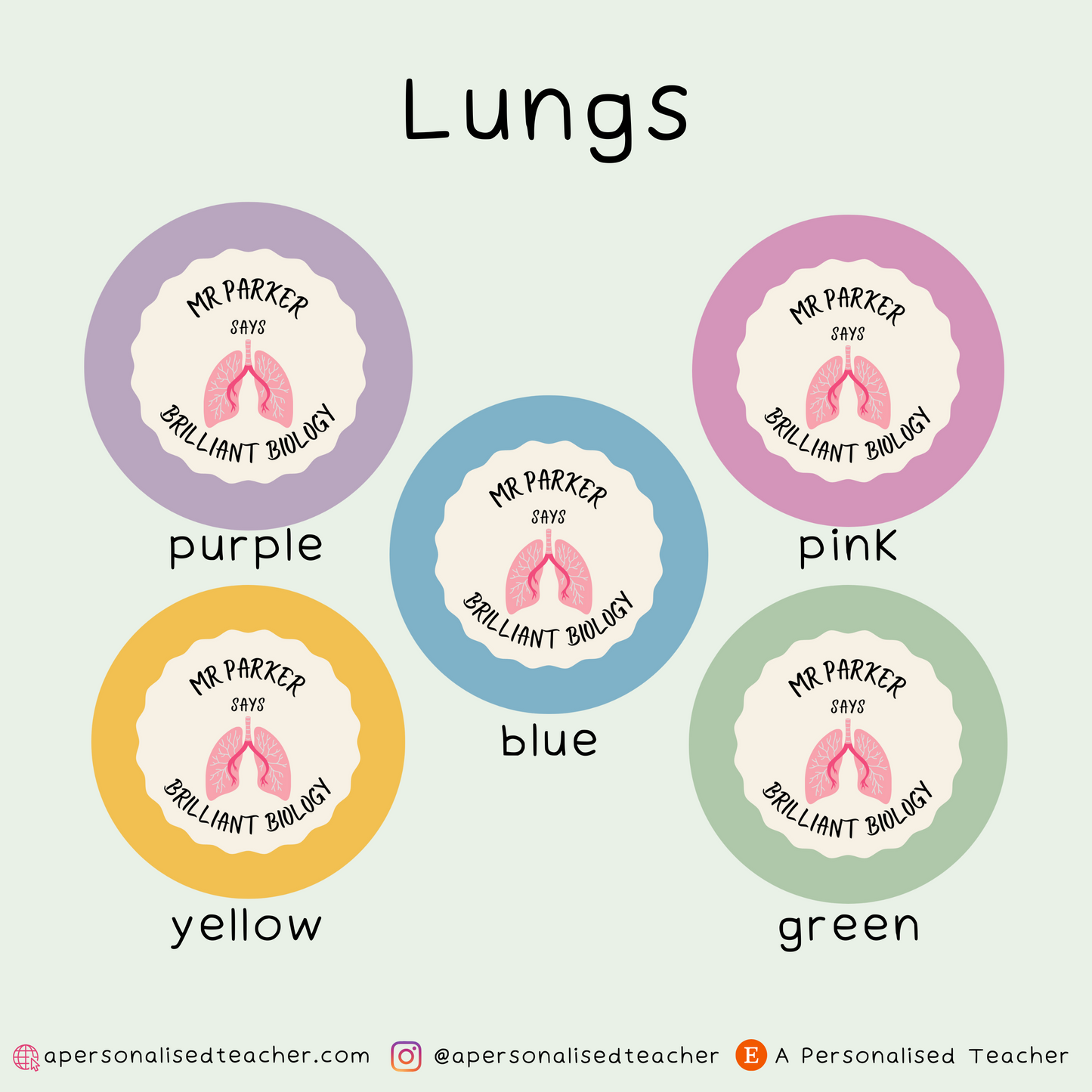 Personalised Biology Teacher Stickers