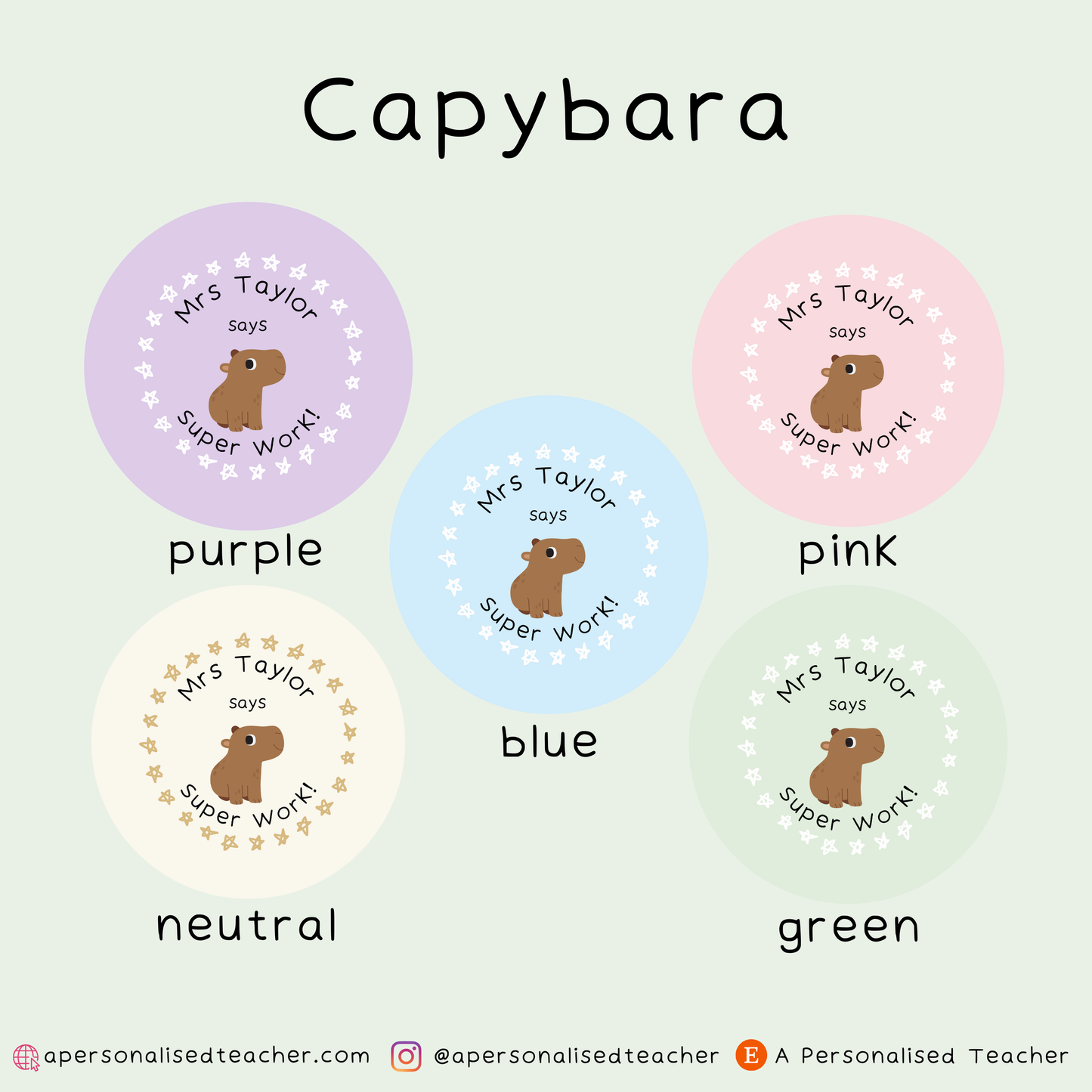 Personalised Animal Pun Teacher Stickers