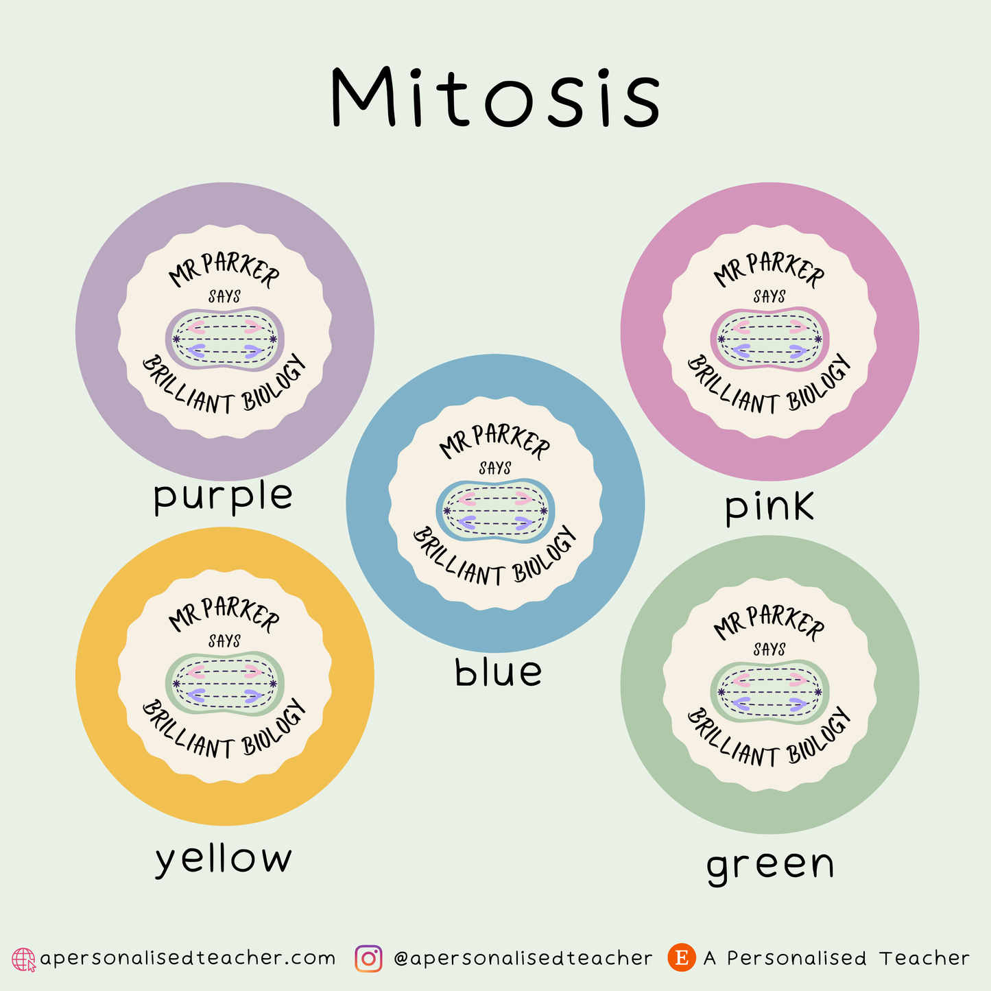 Personalised Biology Teacher Stickers