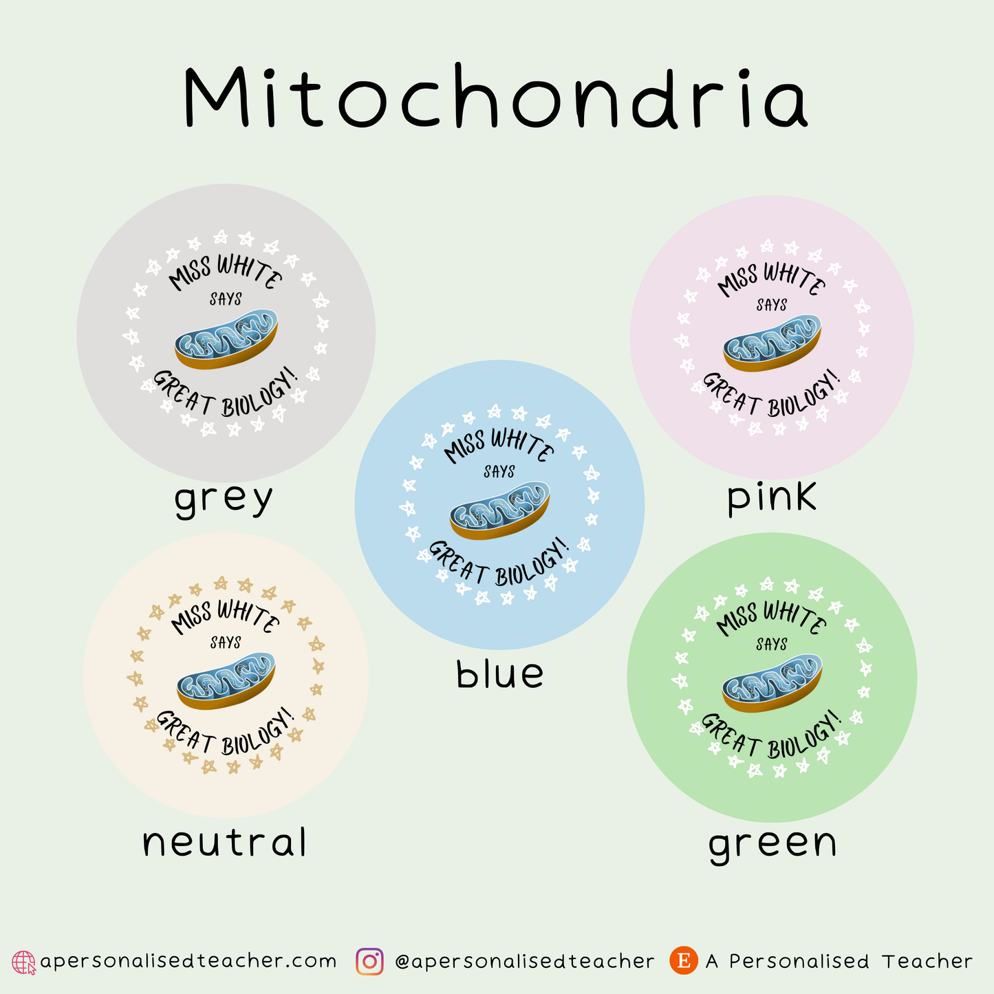 Personalised Biology Teacher Stickers