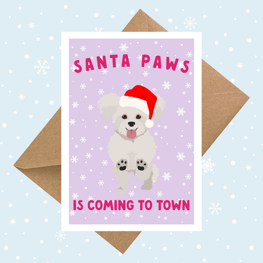 Bichon Frise Santa Paws Card