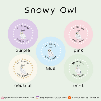 Personalised Owl Teacher Stickers