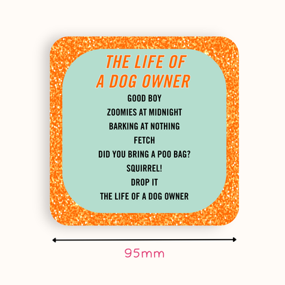 Taylor Swift Inspired The Life of a Dog Walker Coaster