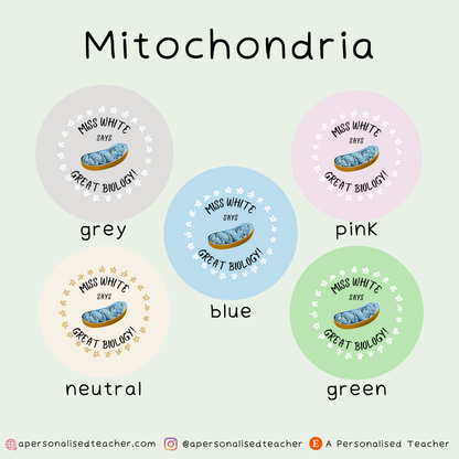 Personalised Biology Teacher Stickers