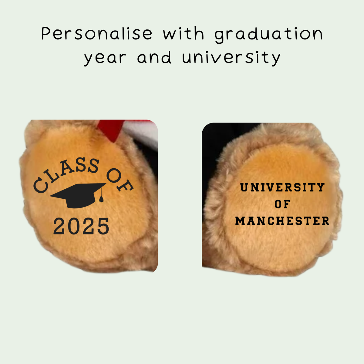 Personalised university graduation bear gift